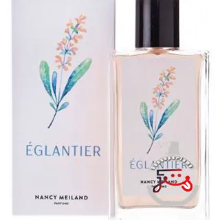 Églantier Nancy Meiland Parfums